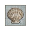Picture of Vintage Shell I  _GroupedProduct_Square_Canvas_Framed_