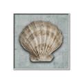Picture of Vintage Shell I  _GroupedProduct_Square_Canvas_Framed_