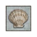 Picture of Vintage Shell I  _GroupedProduct_Square_Canvas_Framed_