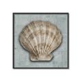 Picture of Vintage Shell I  _GroupedProduct_Square_Canvas_Framed_