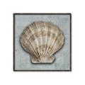 Picture of Vintage Shell I  _GroupedProduct_Square_Canvas_Framed_