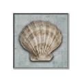 Picture of Vintage Shell I  _GroupedProduct_Square_Canvas_Framed_