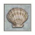 Picture of Vintage Shell I  _GroupedProduct_Square_Canvas_Framed_