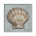 Picture of Vintage Shell I  _GroupedProduct_Square_Canvas_Framed_