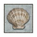 Picture of Vintage Shell I  _GroupedProduct_Square_Canvas_Framed_
