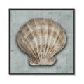 Picture of Vintage Shell I  _GroupedProduct_Square_Canvas_Framed_