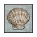 Picture of Vintage Shell I  _GroupedProduct_Square_Canvas_Framed_