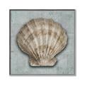 Picture of Vintage Shell I  _GroupedProduct_Square_Canvas_Framed_