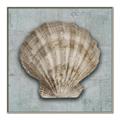 Picture of Vintage Shell I  _GroupedProduct_Square_Canvas_Framed_