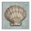 Picture of Vintage Shell I  _GroupedProduct_Square_Canvas_Framed_