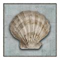 Picture of Vintage Shell I  _GroupedProduct_Square_Canvas_Framed_