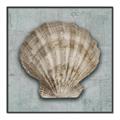Picture of Vintage Shell I  _GroupedProduct_Square_Canvas_Framed_