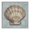 Picture of Vintage Shell I  _GroupedProduct_Square_Canvas_Framed_