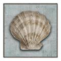 Picture of Vintage Shell I  _GroupedProduct_Square_Canvas_Framed_