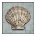 Picture of Vintage Shell I  _GroupedProduct_Square_Canvas_Framed_