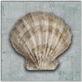 Picture of Vintage Shell I  _GroupedProduct_Square_Canvas_Framed_