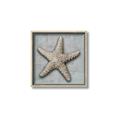 Picture of Vintage Shell II  _GroupedProduct_Square_Canvas_Framed_