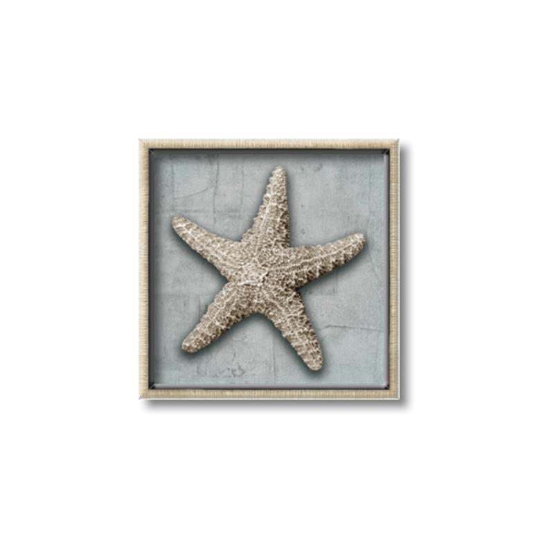 Picture of Vintage Shell II  _GroupedProduct_Square_Canvas_Framed_