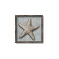 Picture of Vintage Shell II  _GroupedProduct_Square_Canvas_Framed_