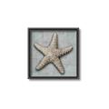 Picture of Vintage Shell II  _GroupedProduct_Square_Canvas_Framed_