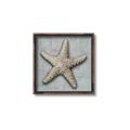 Picture of Vintage Shell II  _GroupedProduct_Square_Canvas_Framed_