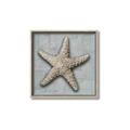 Picture of Vintage Shell II  _GroupedProduct_Square_Canvas_Framed_