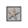 Picture of Vintage Shell II  _GroupedProduct_Square_Canvas_Framed_