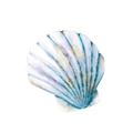 Picture of Watercolor shell III  _GroupedProduct_Square_Unframed_Print_Only_