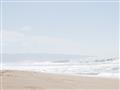 Picture of Beachy Days _GroupedProduct_Rectangle_Landscape_Unframed_Print_Only_