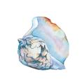 Picture of Watercolor shell I _GroupedProduct_Square_Unframed_Print_Only_