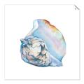 Picture of Watercolor shell I _GroupedProduct_Square_Unframed_Print_Only_