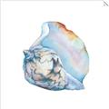 Picture of Watercolor shell I _GroupedProduct_Square_Unframed_Print_Only_
