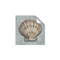 Picture of Vintage Shell I  _GroupedProduct_Square_Unframed_Print_Only_