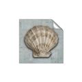Picture of Vintage Shell I  _GroupedProduct_Square_Unframed_Print_Only_