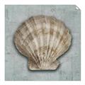 Picture of Vintage Shell I  _GroupedProduct_Square_Unframed_Print_Only_