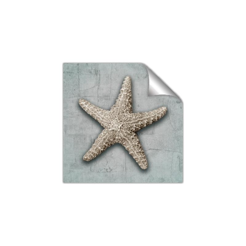 Picture of Vintage Shell II  _GroupedProduct_Square_Unframed_Print_Only_