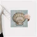 Picture of Vintage Shell I  _GroupedProduct_Square_Canvas_