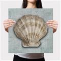 Picture of Vintage Shell I  _GroupedProduct_Square_Canvas_