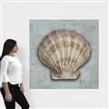 Picture of Vintage Shell I  _GroupedProduct_Square_Canvas_