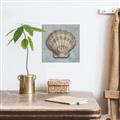 Picture of Vintage Shell I  _GroupedProduct_Square_Canvas_