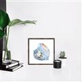 Picture of Watercolor shell I _GroupedProduct_Square_Canvas_Framed_