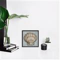 Picture of Vintage Shell I  _GroupedProduct_Square_Canvas_Framed_