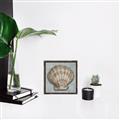 Picture of Vintage Shell I  _GroupedProduct_Square_Canvas_Framed_