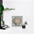 Picture of Vintage Shell I  _GroupedProduct_Square_Canvas_Framed_