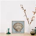 Picture of Vintage Shell I  _GroupedProduct_Square_Canvas_Framed_