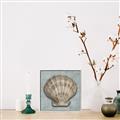 Picture of Vintage Shell I  _GroupedProduct_Square_Canvas_Framed_