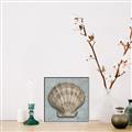 Picture of Vintage Shell I  _GroupedProduct_Square_Canvas_Framed_