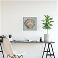 Picture of Vintage Shell I  _GroupedProduct_Square_Canvas_Framed_