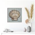 Picture of Vintage Shell I  _GroupedProduct_Square_Canvas_Framed_
