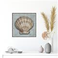 Picture of Vintage Shell I  _GroupedProduct_Square_Canvas_Framed_